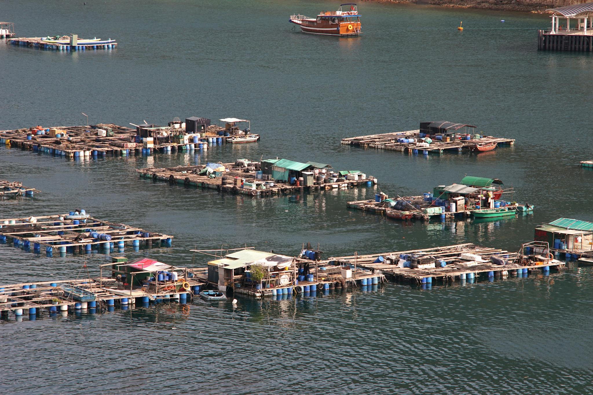 Aerial shot of fish farm structures in Hong Kong water reflecting a quiet, sunny day.